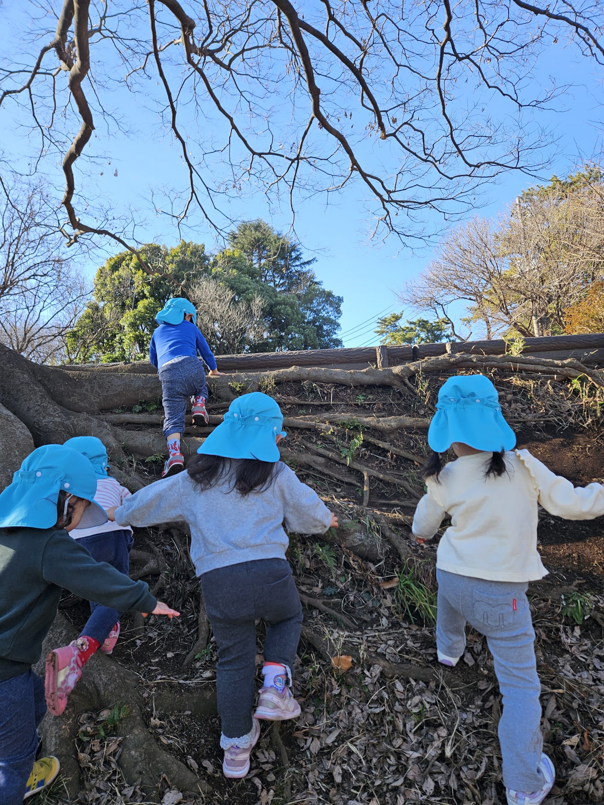 4見学入園連携先